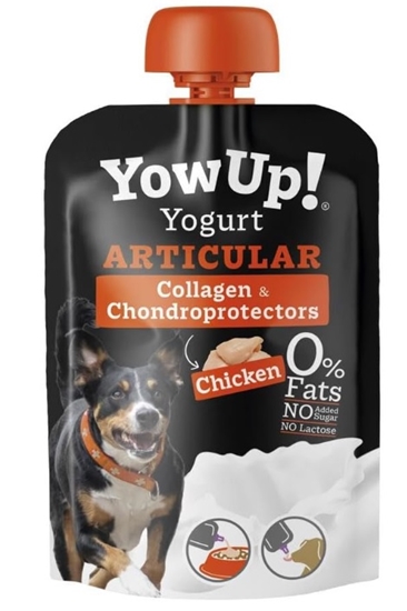 Picture of Yowup! Yogurt ARTICULAR DOG helps joint problems